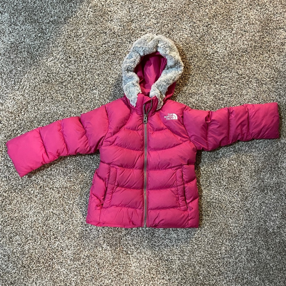 The North Face Kids Polar Water Repellent 550 Fill Power Down Parka